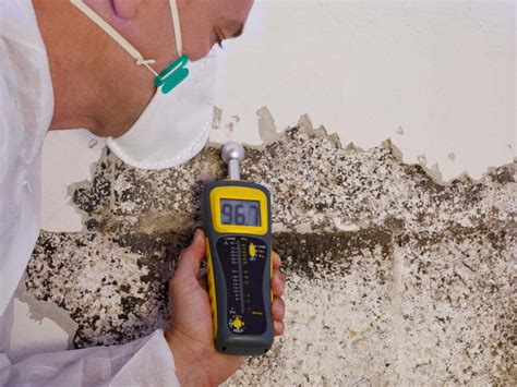 roof moisture testing|how to detect roof moisture.